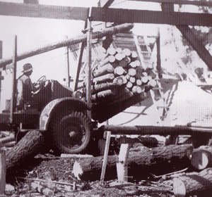 Alfie Lakuts is at work on a blitz crane log truck at the Kalangadoo mill